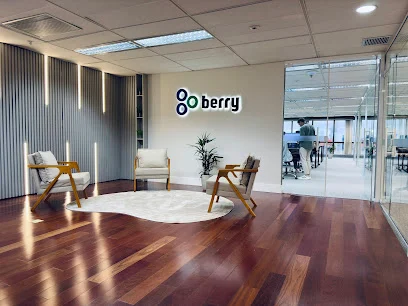 Berry Consultoria Empresarial