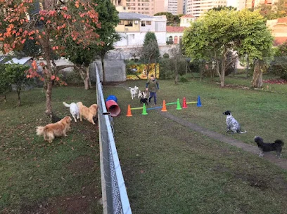 Cachorrolândia Água Verde