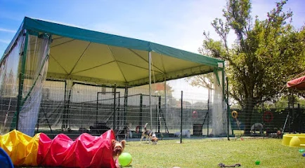 Clube Pets - Creche para Cães