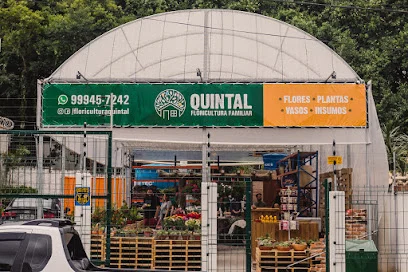 Floricultura Quintal & Casan | Curitiba