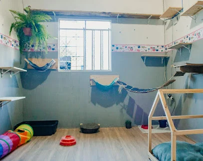 Miss Pet Hotel Curitiba