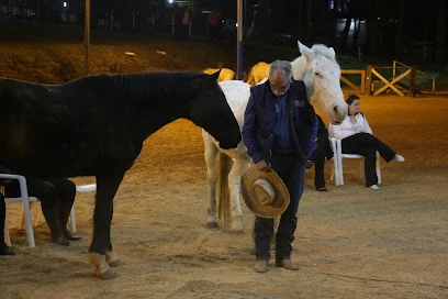 Paulo Neumann - Equus Constelação com Cavalos®
